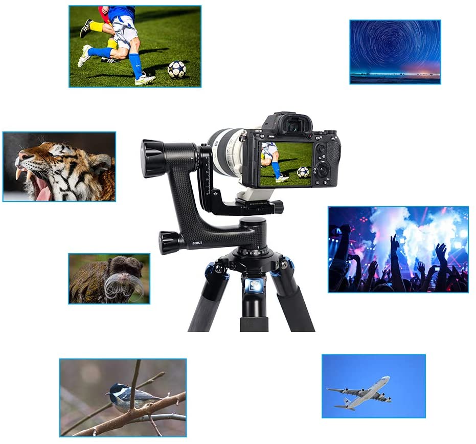 Sirui PH-10 Tripods & Monopods Product Image