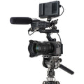 Benro FS36PRO Tripod Head Product Image