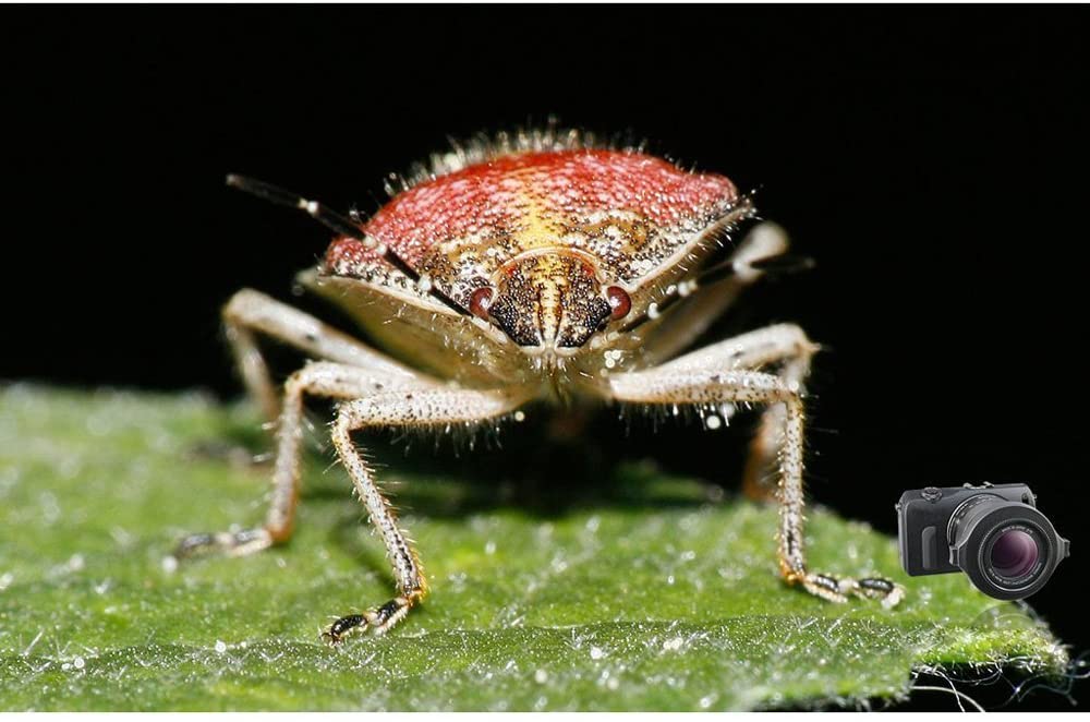 Raynox DCR-150 Camera Lens Product Image