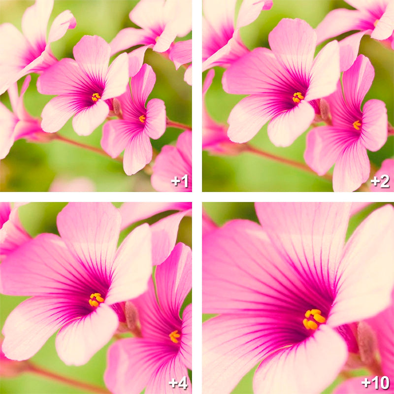 VIVITAR Close-Up Set 58MM BLACK +1+2+4+10 VIV-CL-58