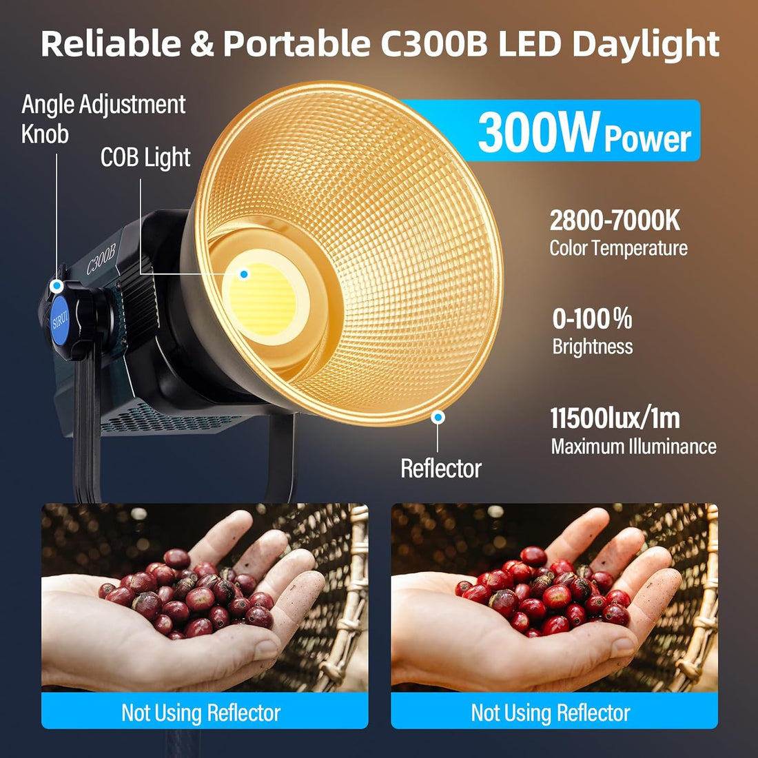 Sirui 300W Daylight LED Monolight (C300B)