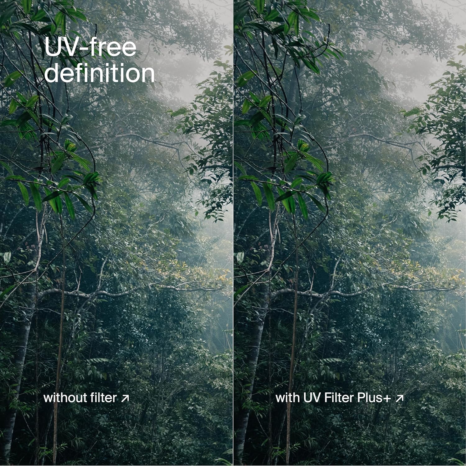 Urth UUVPL67 Camera Filter Product Image