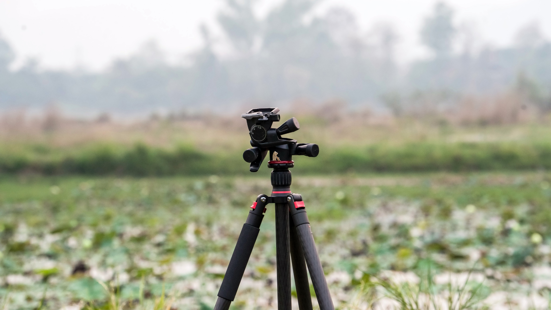 slider image 1621243260e1af0c20-2