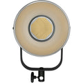 Nanlite FS-300 Lighting Product Image