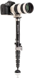 Benro MSD36C Tripods & Monopods Product Image