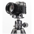 Benro GX30 Tripods & Monopods Product Image