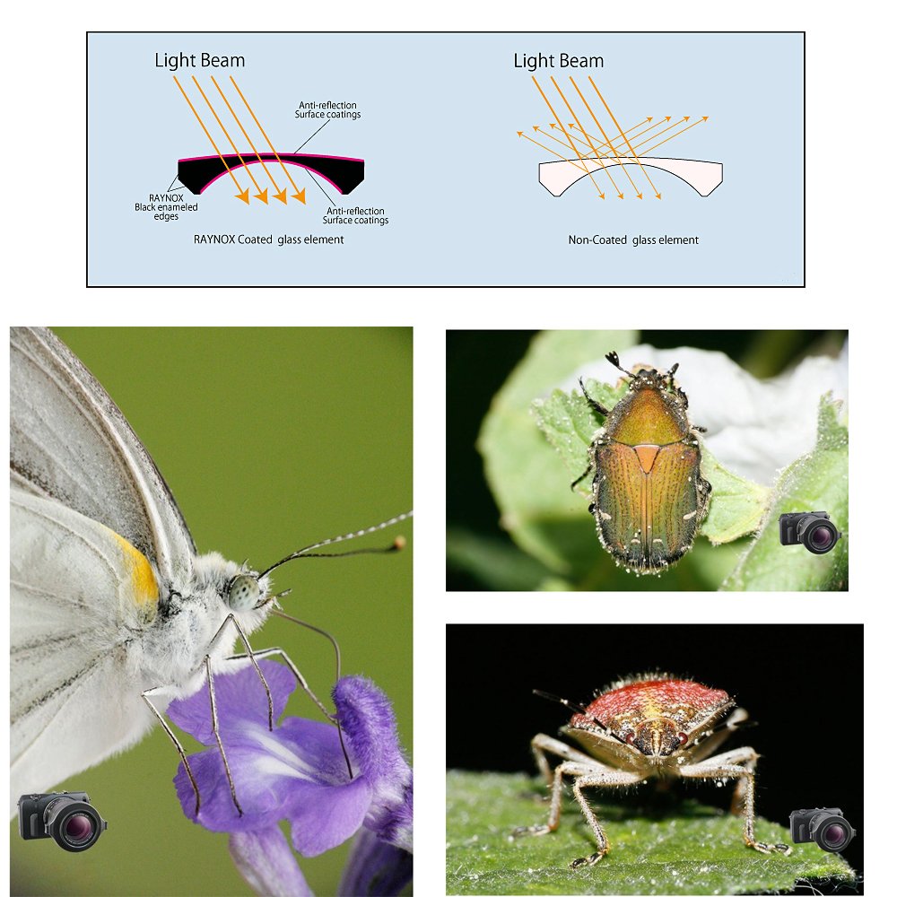 Raynox DCR-250 Macro Lens+ Optic Pen+ Micro Fiber 43mm 52mm 55mm 58mm 62mm 67mm