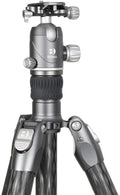 Benro FRHN34CVX30 Tripods & Monopods Product Image
