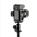 3 Legged Thing ARNIEQD-C Camera Straps & Mounts Product Image